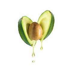 Shampoo for Normal to Dry Hair - Olea Essence - Israel Menu