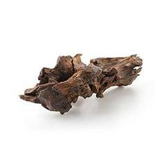 Natural Foot Cream Ingredient - Olea Essence - Natural BeautyQ